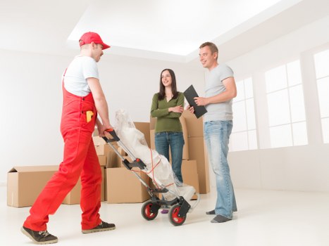Belgravia man and van transport for local moving needs